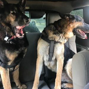 Meet your Posher, Bryson